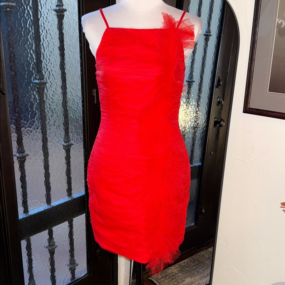 Liv Foster • Orange Spice • Gathered Mesh Mini Dress sz 6 NWT